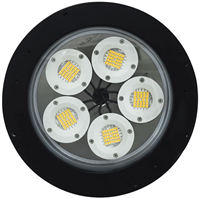 L1102 (DOB) Explosion-Proof LED Light